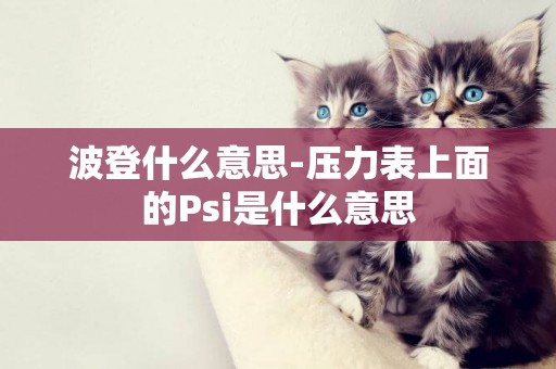 波登什么意思-壓力表上面的Psi是什么意思