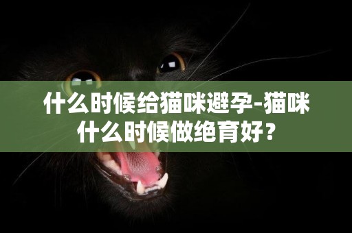 什么時候給貓咪避孕-貓咪什么時候做絕育好？