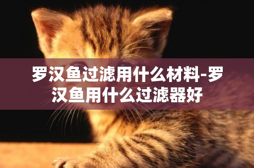 羅漢魚過濾用什么材料-羅漢魚用什么過濾器好