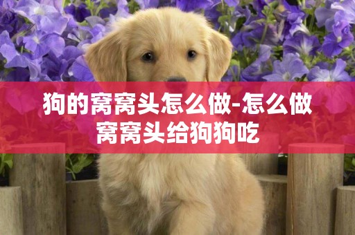 狗的窩窩頭怎么做-怎么做窩窩頭給狗狗吃