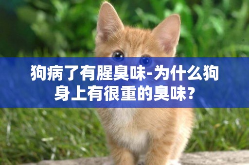 狗病了有腥臭味-為什么狗身上有很重的臭味？