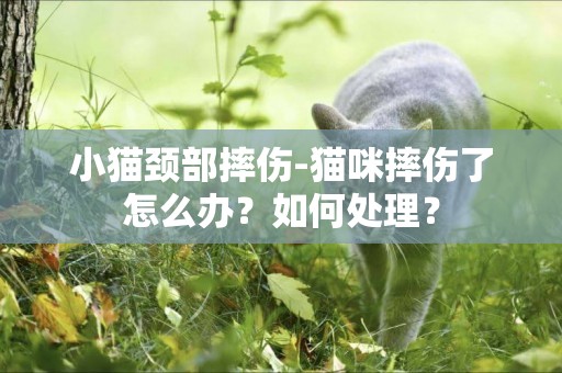 小貓頸部摔傷-貓咪摔傷了怎么辦？如何處理？