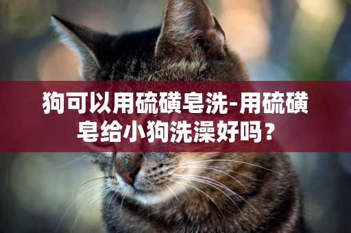 狗可以用硫磺皂洗-用硫磺皂給小狗洗澡好嗎？