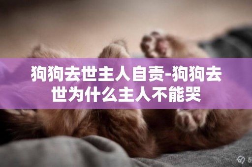 狗狗去世主人自責-狗狗去世為什么主人不能哭