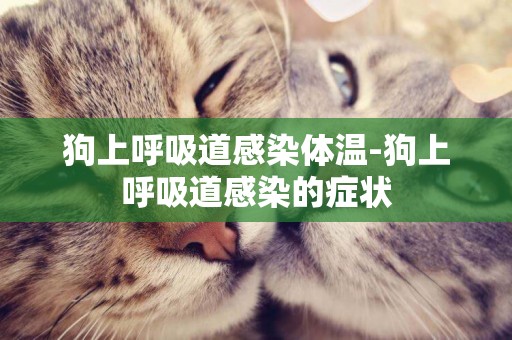 狗上呼吸道感染體溫-狗上呼吸道感染的癥狀
