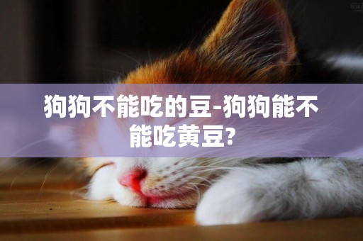 狗狗不能吃的豆-狗狗能不能吃黃豆?