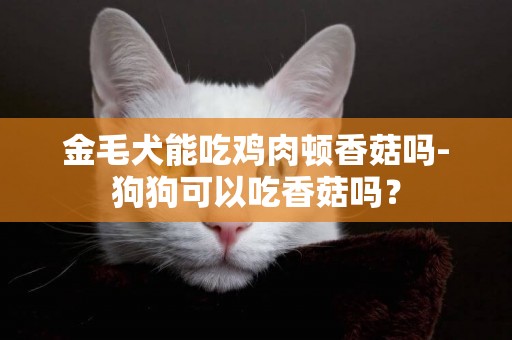 金毛犬能吃雞肉頓香菇嗎-狗狗可以吃香菇嗎？