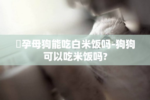 懷孕母狗能吃白米飯嗎-狗狗可以吃米飯嗎?