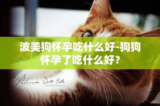 波美狗懷孕吃什么好-狗狗懷孕了吃什么好？