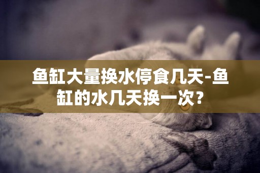 魚缸大量換水停食幾天-魚缸的水幾天換一次？