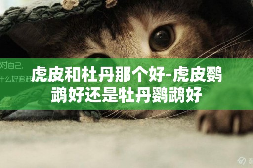 虎皮和杜丹那個好-虎皮鸚鵡好還是牡丹鸚鵡好