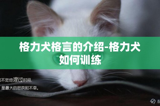 格力犬格言的介紹-格力犬如何訓練