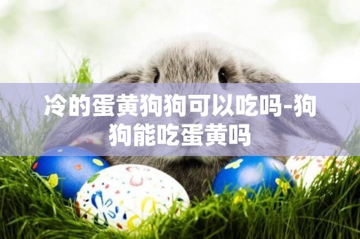冷的蛋黃狗狗可以吃嗎-狗狗能吃蛋黃嗎