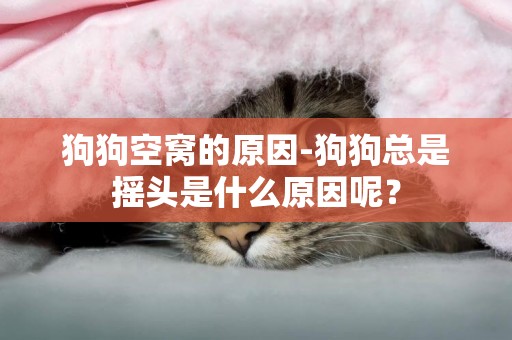 狗狗空窩的原因-狗狗總是搖頭是什么原因呢？