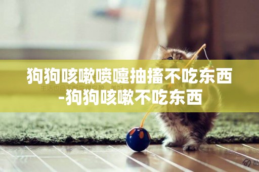 狗狗咳嗽噴嚏抽搐不吃東西-狗狗咳嗽不吃東西