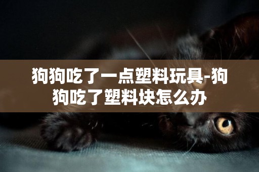 狗狗吃了一點塑料玩具-狗狗吃了塑料塊怎么辦