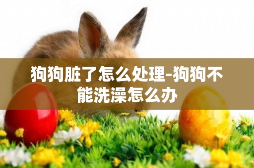 狗狗臟了怎么處理-狗狗不能洗澡怎么辦