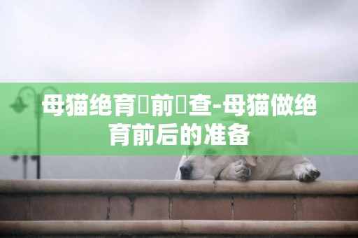 母貓絕育術前檢查-母貓做絕育前后的準備