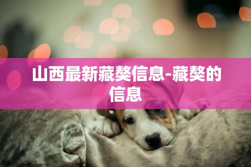 山西最新藏獒信息-藏獒的信息