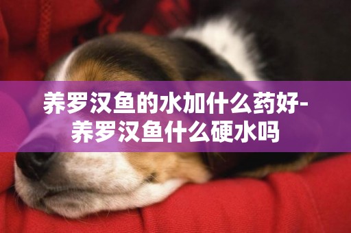 養羅漢魚的水加什么藥好-養羅漢魚什么硬水嗎