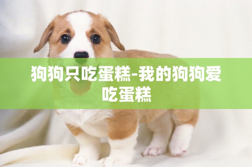 狗狗只吃蛋糕-我的狗狗愛吃蛋糕