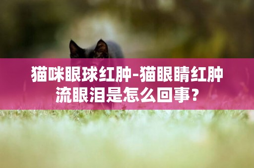 貓咪眼球紅腫-貓眼睛紅腫流眼淚是怎么回事？