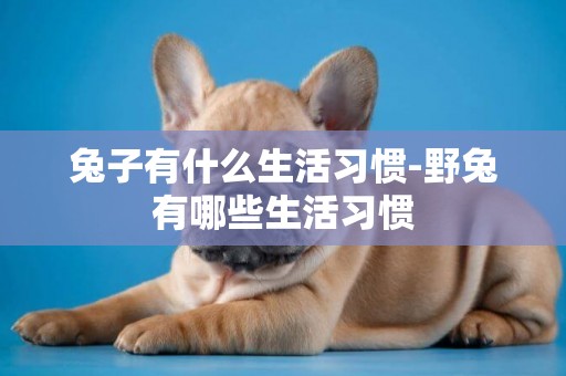 兔子有什么生活習慣-野兔有哪些生活習慣