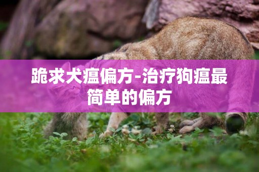 跪求犬瘟偏方-治療狗瘟最簡單的偏方