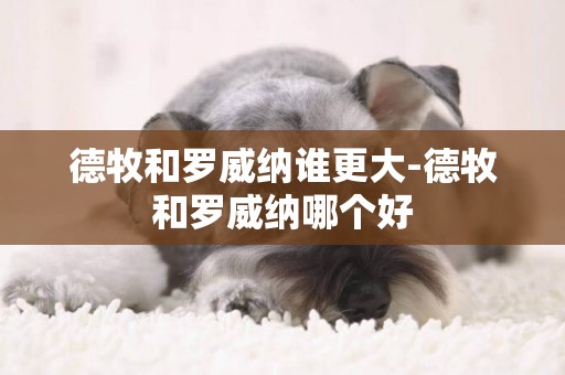德牧和羅威納誰更大-德牧和羅威納哪個好