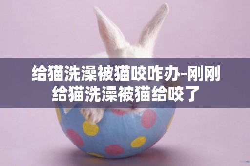 給貓洗澡被貓咬咋辦-剛剛給貓洗澡被貓給咬了