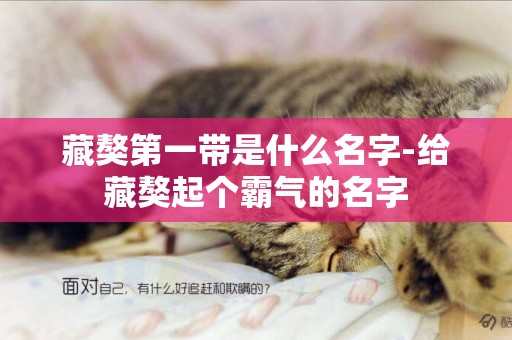 藏獒第一帶是什么名字-給藏獒起個霸氣的名字