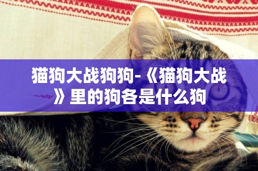貓狗大戰狗狗-《貓狗大戰》里的狗各是什么狗