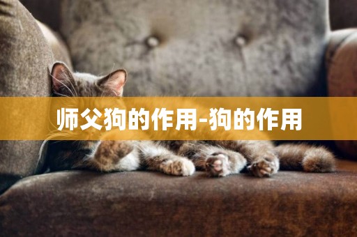 師父狗的作用-狗的作用