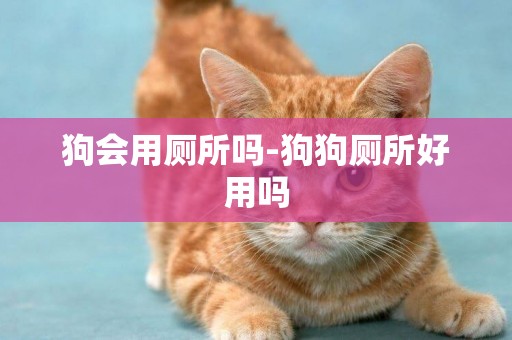 狗會用廁所嗎-狗狗廁所好用嗎
