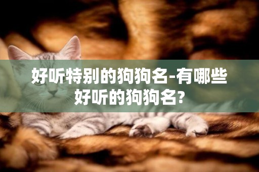 好聽特別的狗狗名-有哪些好聽的狗狗名?