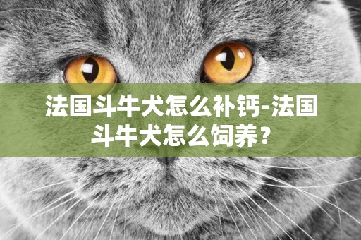 法國斗牛犬怎么補鈣-法國斗牛犬怎么飼養？