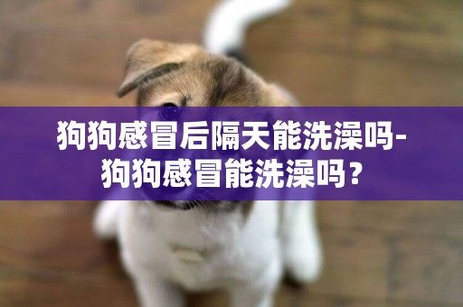 狗狗感冒后隔天能洗澡嗎-狗狗感冒能洗澡嗎？