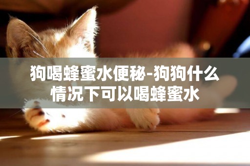 狗喝蜂蜜水便秘-狗狗什么情況下可以喝蜂蜜水