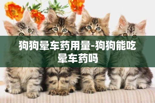 狗狗暈車藥用量-狗狗能吃暈車藥嗎