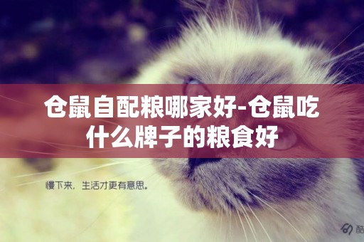 倉鼠自配糧哪家好-倉鼠吃什么牌子的糧食好