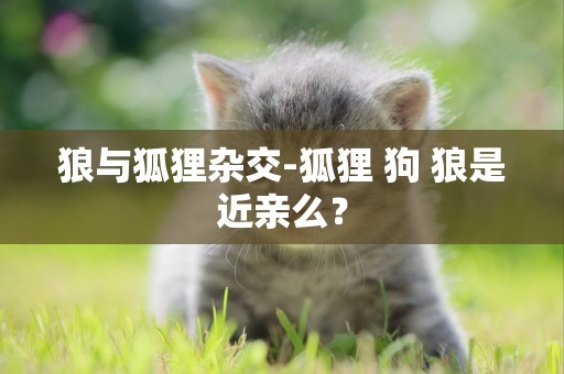 狼與狐貍雜交-狐貍 狗 狼是近親么？