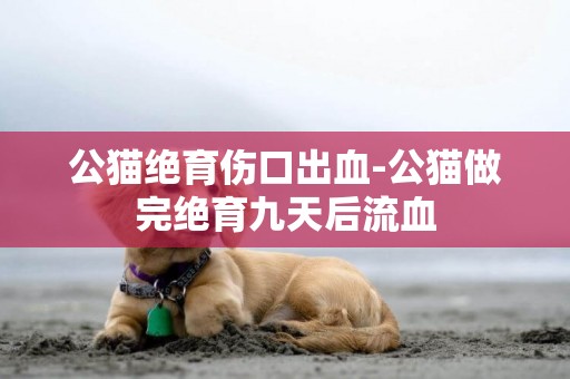 公貓絕育傷口出血-公貓做完絕育九天后流血
