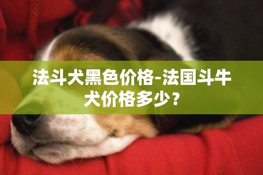 法斗犬黑色價格-法國斗牛犬價格多少？