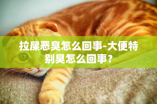 拉屎惡臭怎么回事-大便特別臭怎么回事？