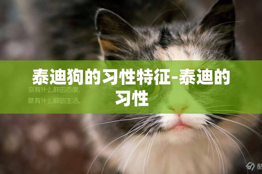 泰迪狗的習性特征-泰迪的習性