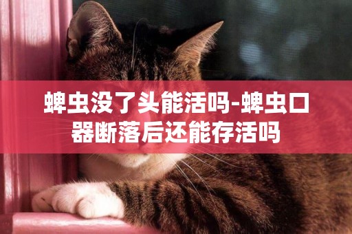 蜱蟲沒了頭能活嗎-蜱蟲口器斷落后還能存活嗎
