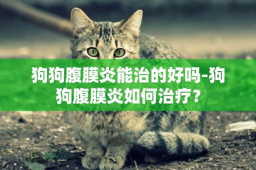 狗狗腹膜炎能治的好嗎-狗狗腹膜炎如何治療？