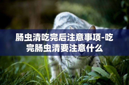 腸蟲清吃完后注意事項-吃完腸蟲清要注意什么