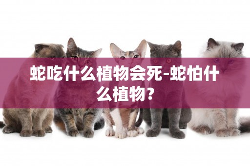 蛇吃什么植物會死-蛇怕什么植物？