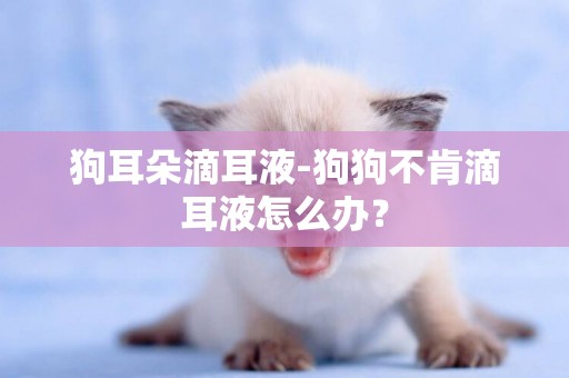 狗耳朵滴耳液-狗狗不肯滴耳液怎么辦？